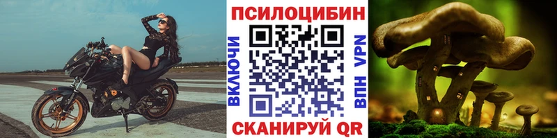 Псилоцибиновые грибы мицелий наркошоп Оленегорск