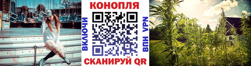 Конопля гибрид  наркотики  Оленегорск 